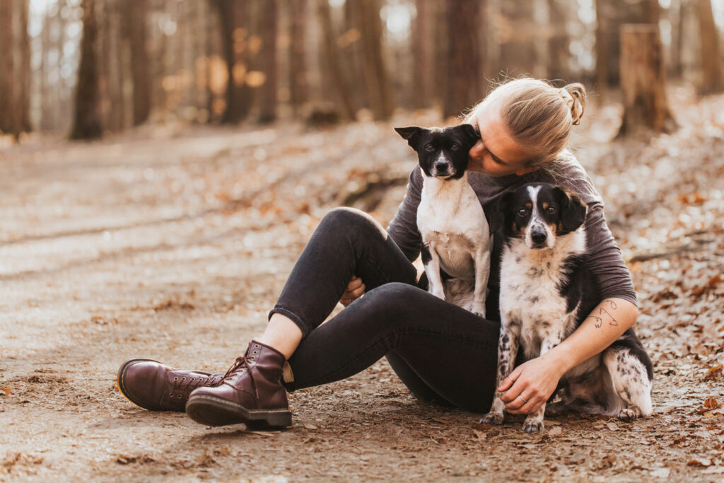 MTF 4334 marentobis marentobis hundeshooting saechsische schweiz felsen licht